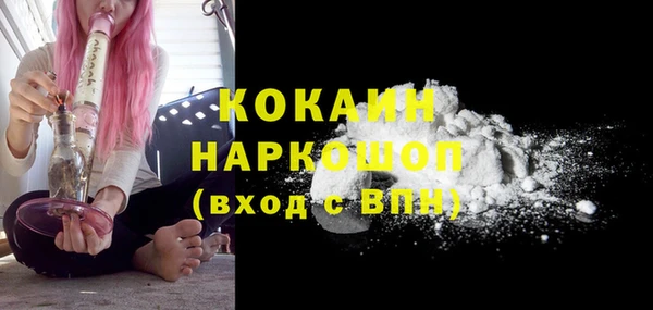 гидра Армянск