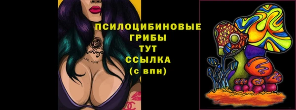 МДПВ Арсеньев