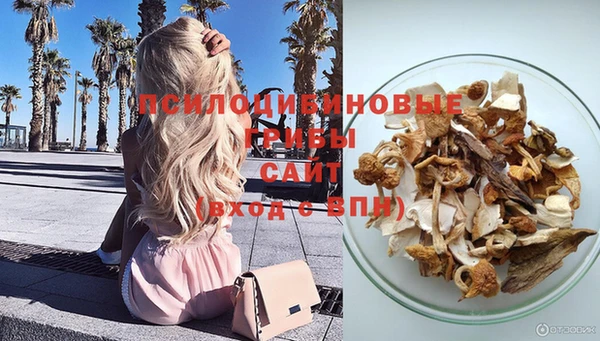 mix Аркадак