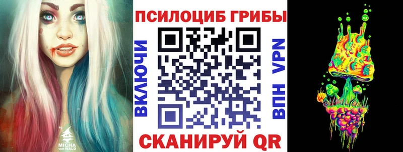 ОМГ ОМГ ССЫЛКА  Медногорск  Галлюциногенные грибы Magic Shrooms 