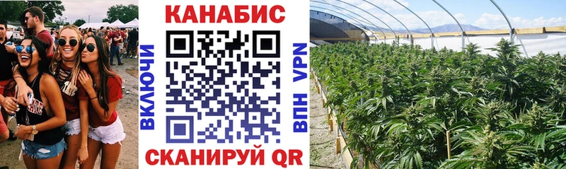 МАРИХУАНА план МЕГА зеркало Медногорск